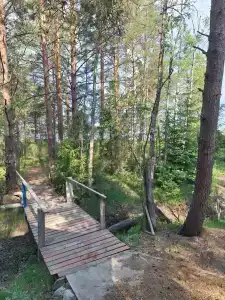 Кандикюля - 36