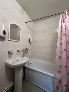 Кедр - 8