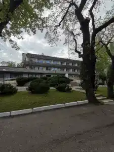 Пралеска - 29