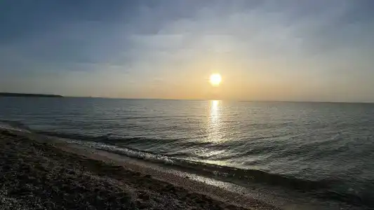 Морелюб - 33