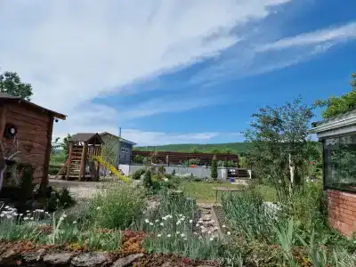 Горный родник - 12