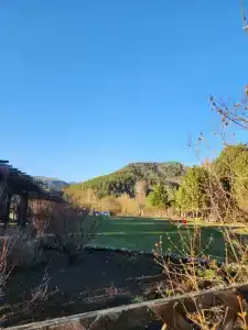 Усадьба толстяка МО - 38