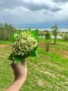 Двухэтажный дом с Патио Верандой - 46