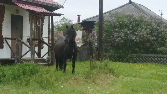 Садху - 21
