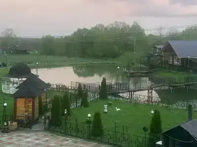 Белый аист - 4