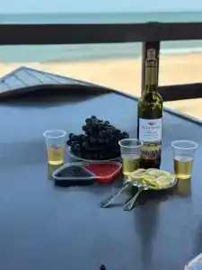 Атлант Экзотик - 60