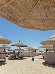 The Grand Resort - 95