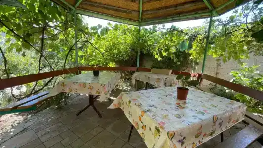 КристОля - 44