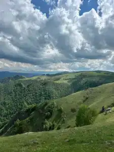 Медовые холмы - 31