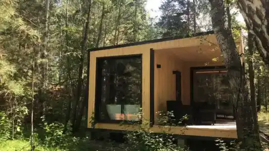 Место в лесу - 40