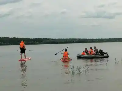 Рузмарин - 22