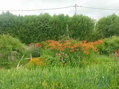 Уют - 31