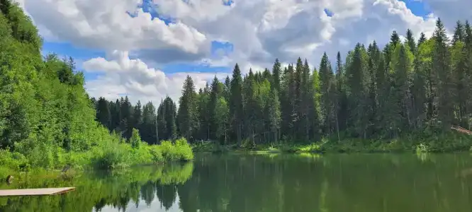 Родники - 5