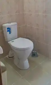 Тюльпан - 32