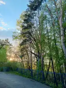 Звездный - 19