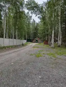 Чайка - 38