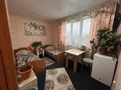 Ной - 5