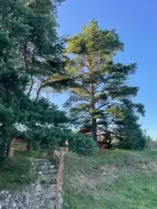 Экотель - 56