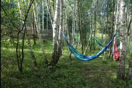 Хвойный парк - 5