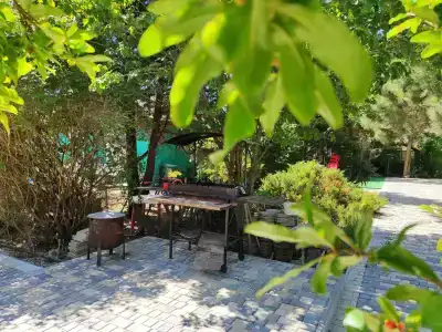 Солнышко - 25