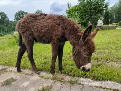 Березовка - 63