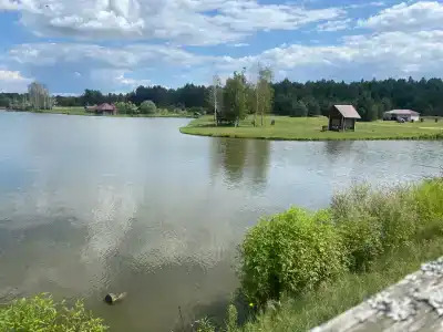Лесное озеро - 1