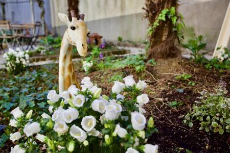 Ostello Bello Lake Como - 13