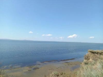 Белый Берег - 50