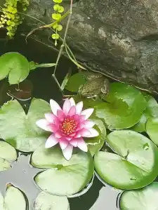 Дом Солнца - 22