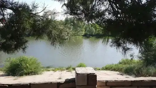Фата Моргана - 26