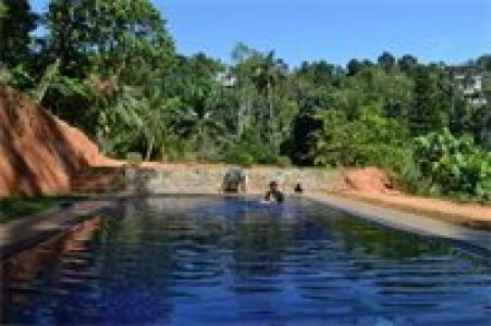 Sweet Cinnamon Kandy - 44