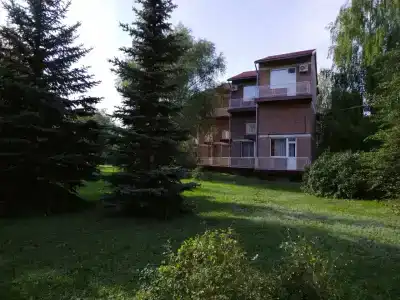 Стрежень - 50