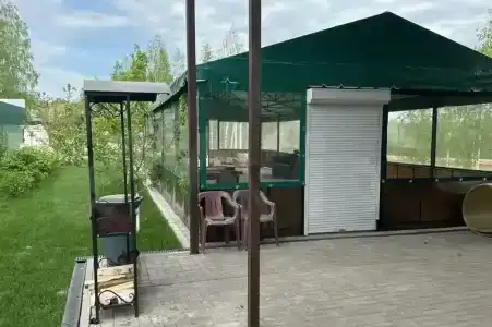 Шишкин лес - 14