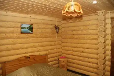 Зеленый Бор - 39