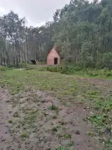 Снегири - 7