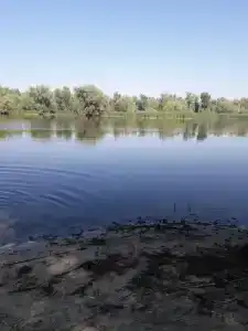 Вертячий - 33