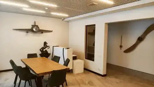 Родина Аэро - 10