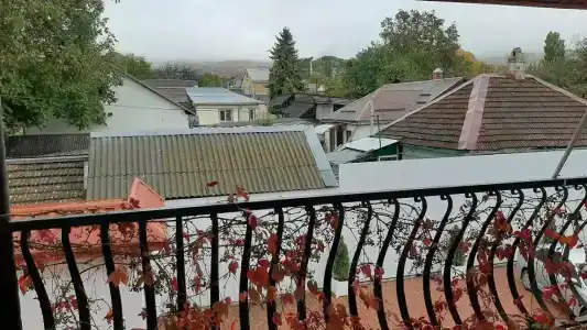 Миндаль - 18