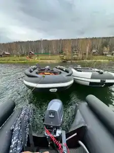 Прилесье - 11