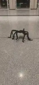 Cross Pratamnak - 36