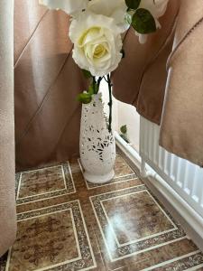 Героевка - 45