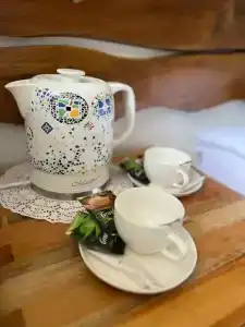 Гуси-Лебеди - 41