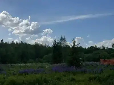 Барские поля - 40