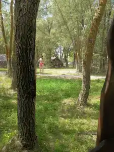 Литораль Шоколад - 19