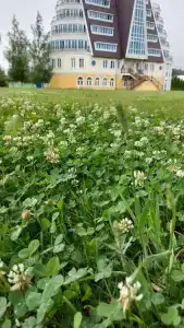 Троицкое - 30