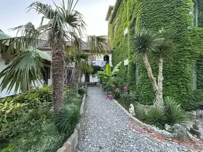 Замок Алустон - 17