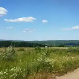 Парк Южного Периода - 23