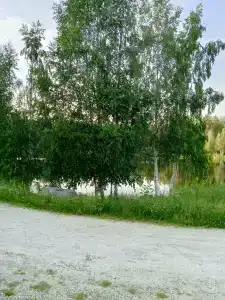 Заозёрье - 29