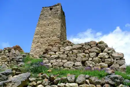 Комы-Арт - 5