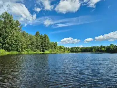 Медведица - 95